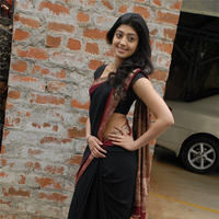 Praneetha hot in transparent black saree | Picture 68336